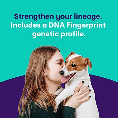 ערכת בדיקת DNA של כלב אוריבט - פרופיל גזע מלא של רועה אמריקאי מיניאטורי | בדיקות גורים כנגד 250